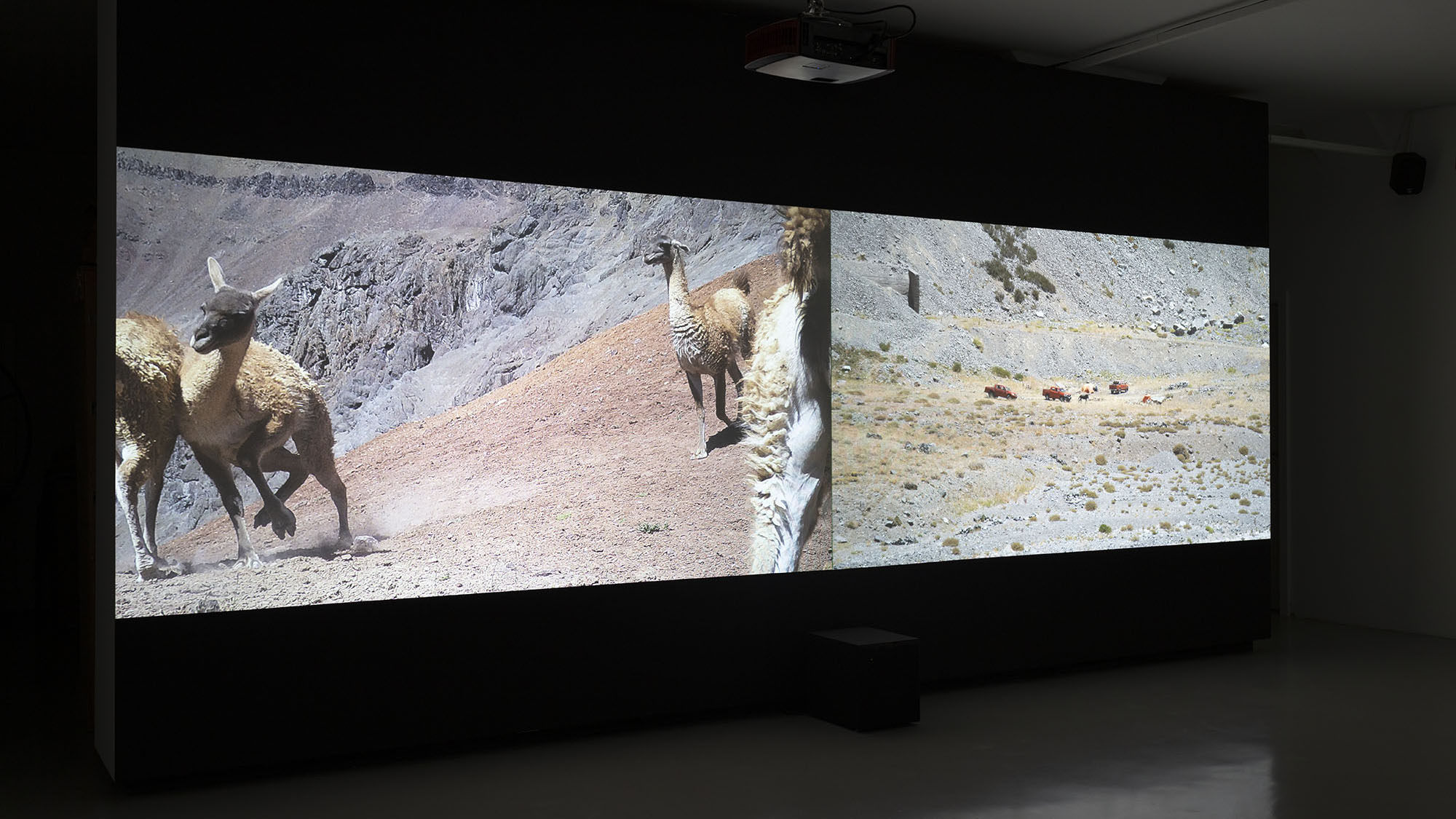 Installation view, MBAL, Le Locle, Switzerland. Image by Lucas Olivet.